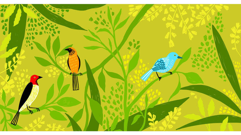 Ilustração de três pássaros em uma folhagem na natureza. O primeiro é preto, amarelo claro e vermelho, o segundo é laranja e preto e o terceiro é azul