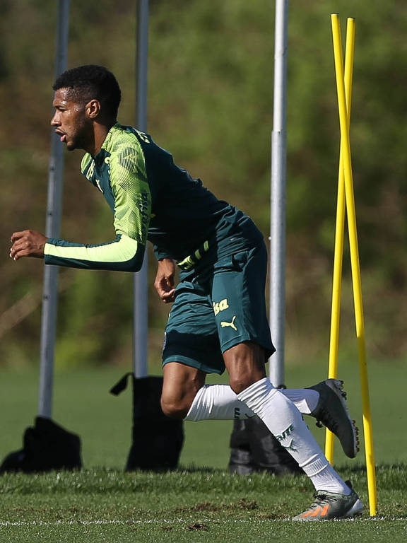 O atacante Wesley, 20, campeão brasileiro e da Copa do Brasil sub-20, chegou ao Palmeiras em 2016. Em maio de 2019, foi emprestado ao Vitória antes de chegar ao profissional do Palmeiras