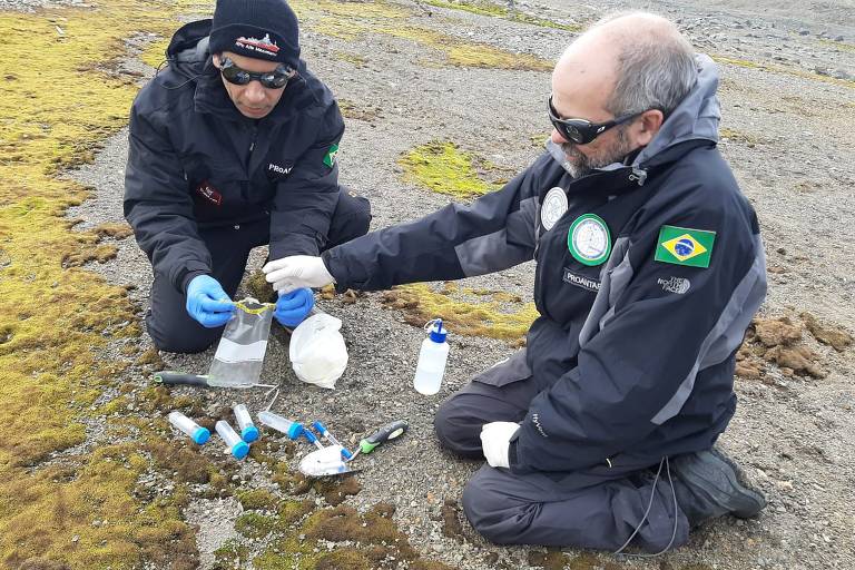 Os pesquisadores Luiz Rosa (UFMG), à esq., e Paulo Câmara (UnB) coletam musgo perto da base brasileira na Antártida; na Ilha Deception, eles analisaram DNA do solo