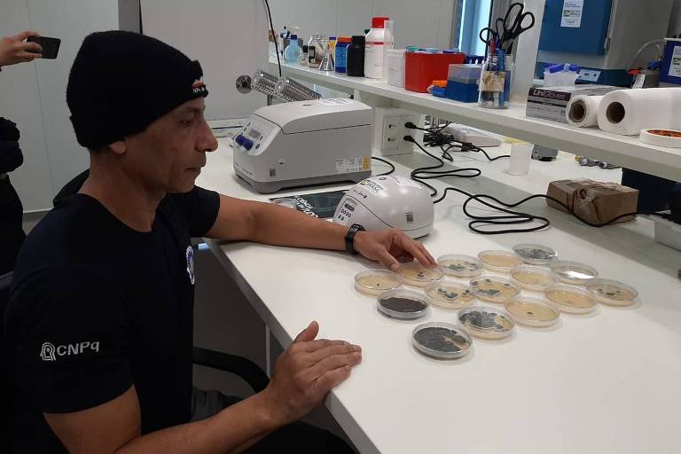 Pesquisador com fungos em laboratório