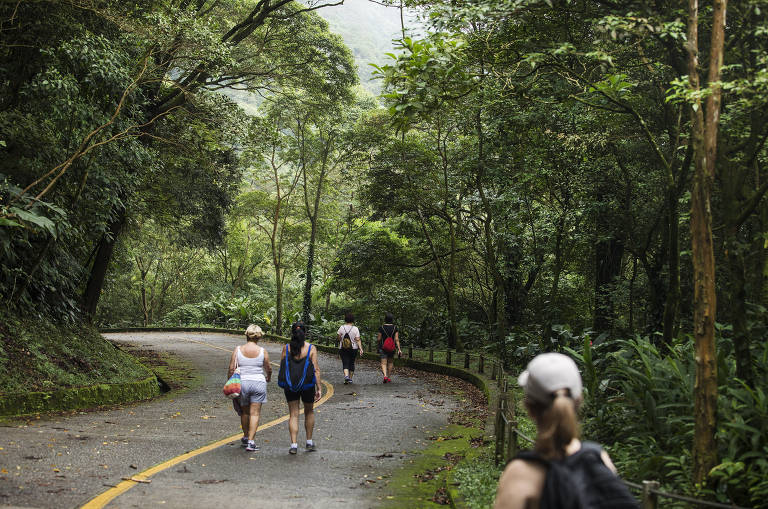 Visitantes durante o passeio pela antiga estrada de Santos