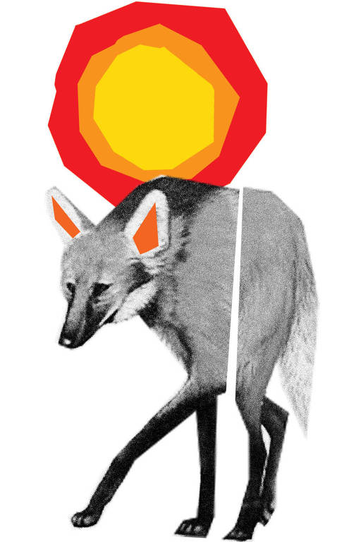 Colagem a partir de foto de lobo-guará em preto e branco com um sol geométrico em vermelho, laranja e amarelo