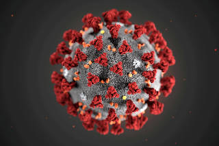 An illustration, created at the Centers for Disease Control and Prevention (CDC), depicts the 2019 Novel Coronavirus