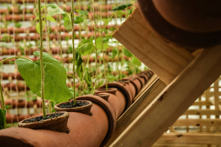 Detalhe da instalação 'Insurgências Botânicas' na individual da artista peruana Ximena Garrido-Lecca que abre a 34ª Bienal de São Paulo, no pavilhão da Bienal, no Ibirapuera