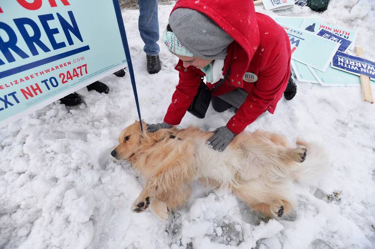 Apoiadora da candidata democrata à Presidência dos EUA Elizabeth Warren brinca com seu cão Bailey do lado de fora do debate do partido em New Hampshire