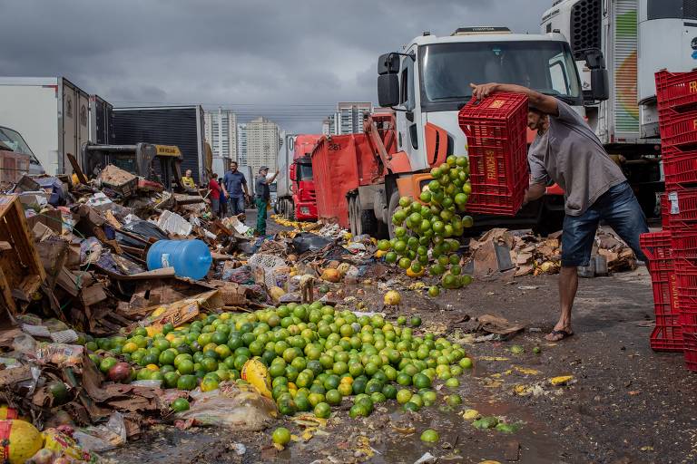 Ceagesp perdeu 7.000 toneladas de alimentos com chuvas em SP