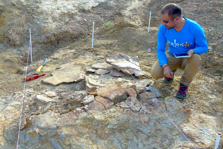 O paleontólogo colombiano, Dr. Edwin Cadena, anotando um dos espécimes masculinos de Stupendemys geographicus durante uma temporada de trabalho de campo em 2016