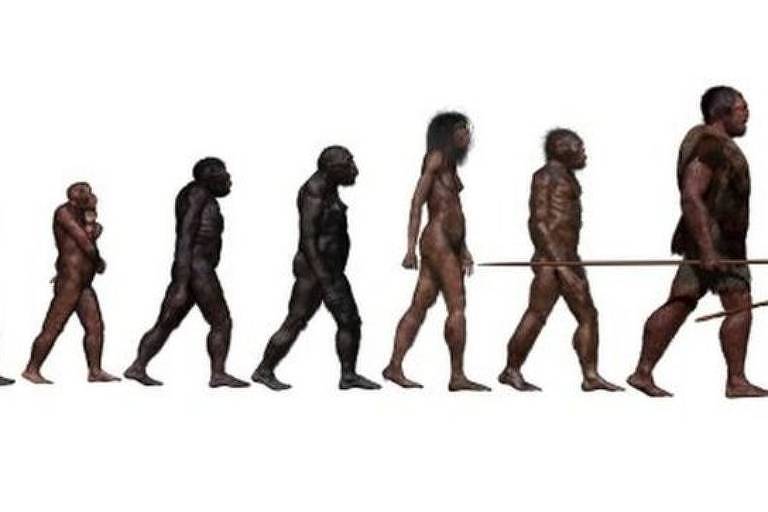 A história da evolução humana está se tornando mais complexa do que esta imagem indica