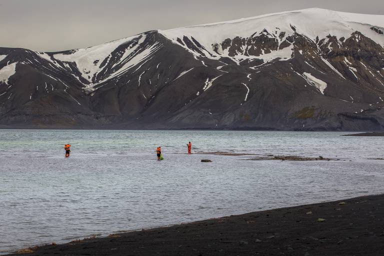 Grandes reservatórios de águas salgadas sob as geleiras da Antártida ocidental explicariam o derretimento do gelo