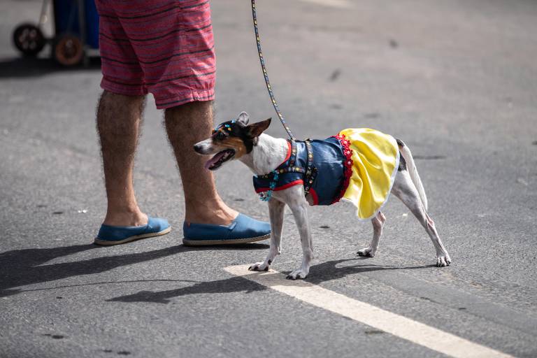  Com mistura de musica brasileira e Beatles, o tradicional bloco "Sargento Pimenta"  leva multidão ao aterro do Flamengo
