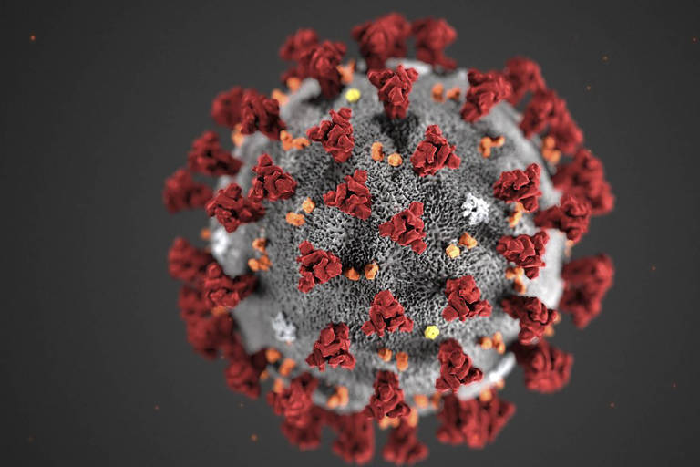 Ilustração criada pelo Centro de Controle e Prevenção de Doenças, dos EUA, mostra a morfologia do novo coronavírus