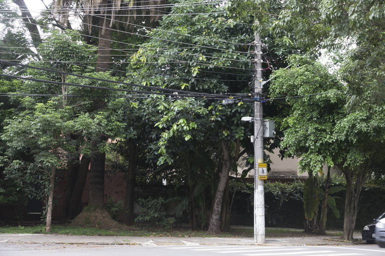 Postes na praça Prof. Domingos Delascio, no Jardim Paulista (zona oeste)