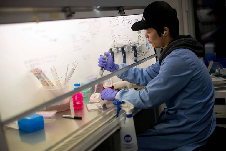 Pesquisador trabalha no desenvolvimento de vacina contra coronavírus em laboratório do Imperial College School of Medicine (ICSM) em Londres