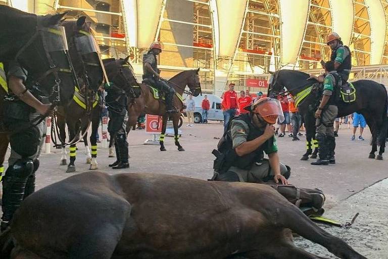 Égua da cavalaria da Brigada Militar morre em Porto Alegre