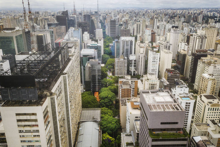 Com árvores próximas da morte, São Paulo se aproxima de apagão verde