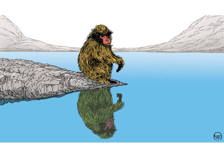 Ilustração de macaco sentado a beira de um rio, refletido na água.