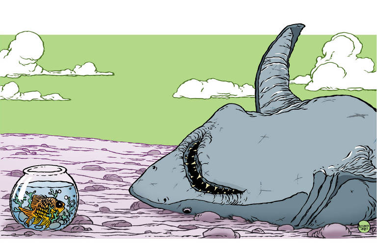 Ilustração mostra tubarão morto, em terra firma. A sua frente, peixinho dourado dentro de um aquário o encara.