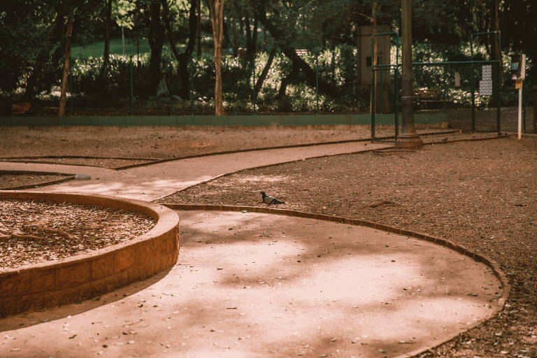 Arredores do Parque Buenos Aires, na Avenida Angélica