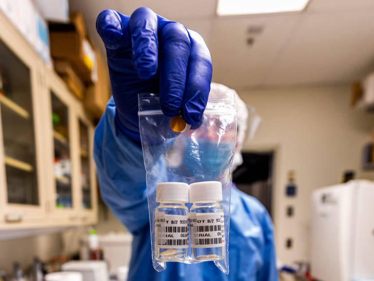 Os pesquisadores usam as Boas Práticas de Fabricação da FDA (Food and Drugs Administration) para produzir vacinas adequadas para ensaios clínicos em humanos
