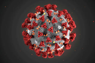 FILE PHOTO: FILE PHOTO: An illustration, created at the Centers for Disease Control and Prevention (CDC), depicts the 2019 Novel Coronavirus