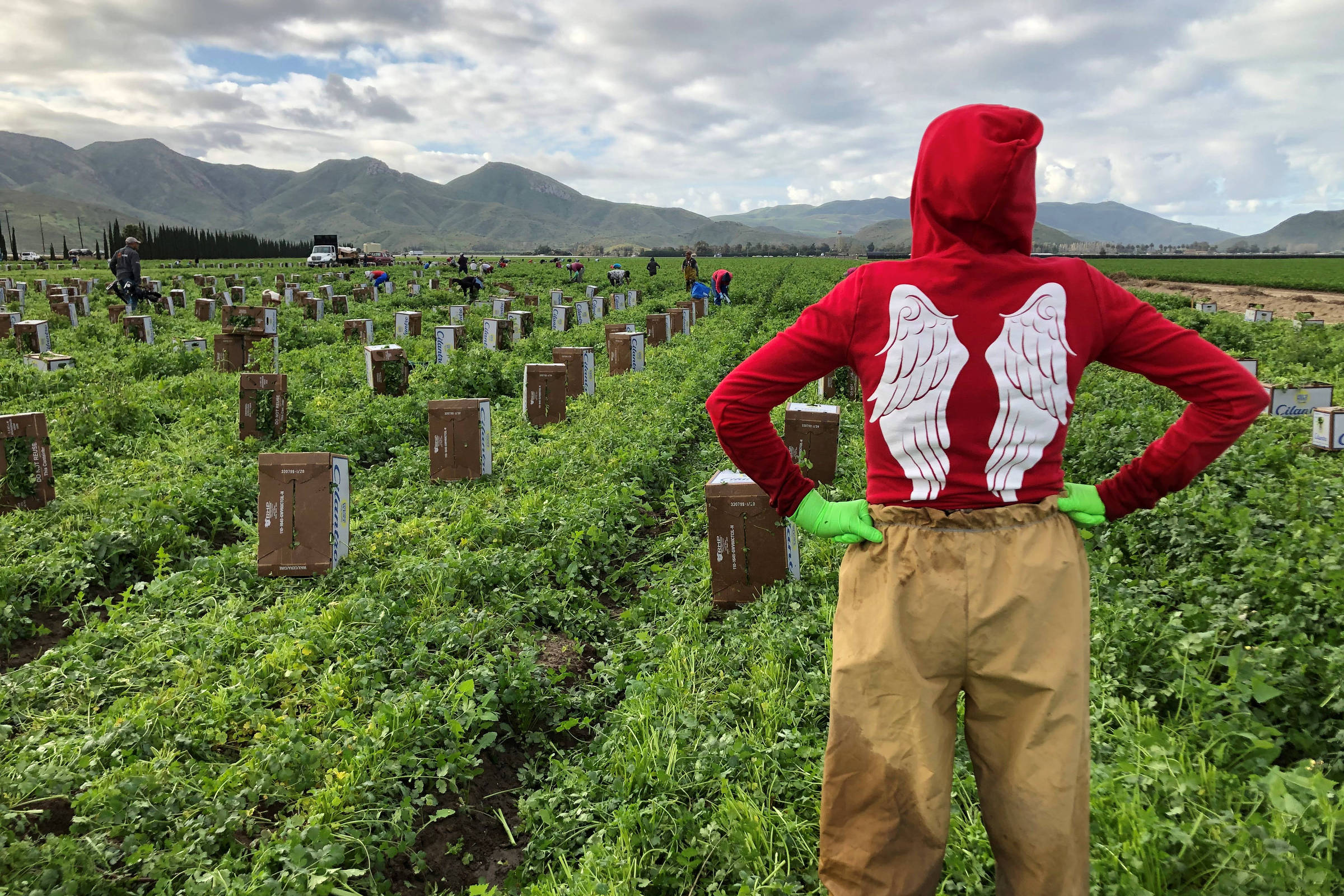 Atividades agrícolas dos Estados Unidos