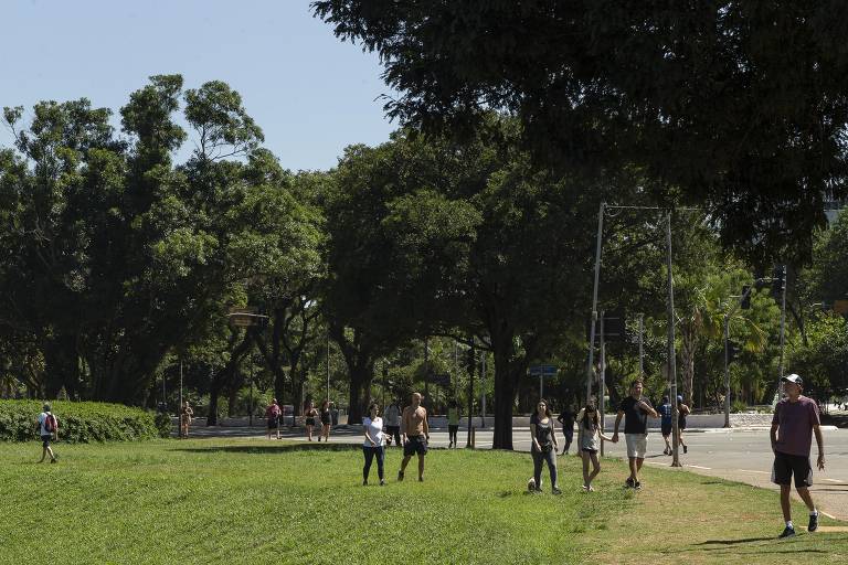 Paulistanos vão ao Ibirapuera fazer exercícios na pandemia
