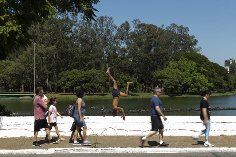 Paulistanos vão ao Ibirapuera fazer exercícios na pandemia