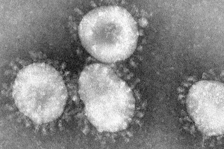 Coronavírus são um grupo de vírus que tem uma espécie de coroa em volta