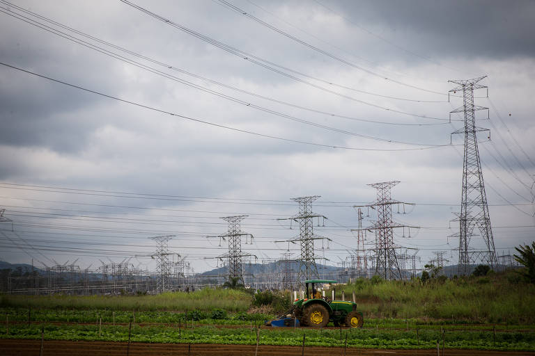 Trator destruindo horta de coentro no sítio Hagio, na região
de Jundiapeba