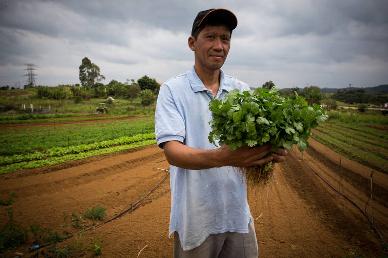 Vagner Hagio, 38, produtor do Sítio Hagio, na região de Jundiapeba, com coentro, produto descartado