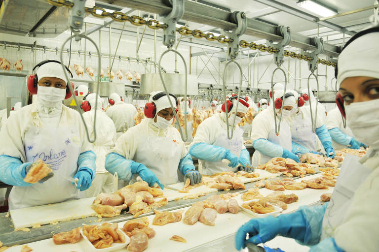 Governo autoriza estocagem de frango em contêiner para reduzir impacto nas exportações