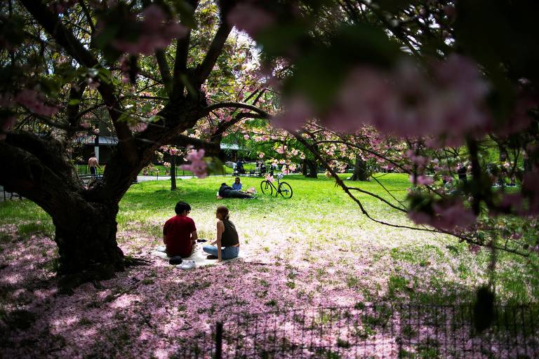 Epicentro da crise do coronavírus nos EUA, Nova York manteve seus parques abertos