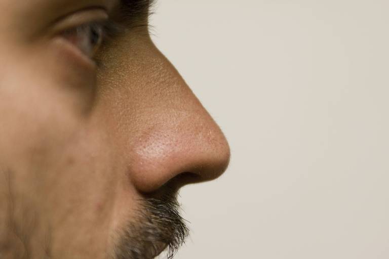 Foto de perfil de homem branco e olhos verdes, com nariz e bigode em detalhe.