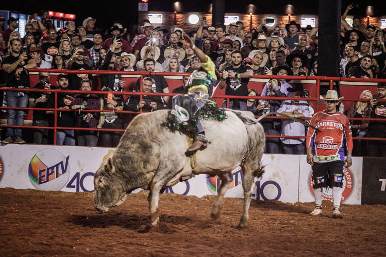 Festa de Peão de Boiadeiro traz shows gratuitos e rodeios em