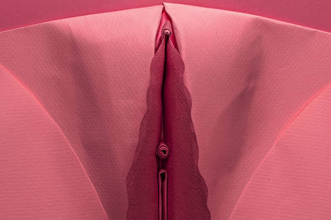 ilustração de papel mostra como é a labioplastia, cirurgia usada para 'ajustar' aspecto da vulva (vagina)
