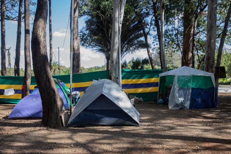 Os bolsonaristas criaram uma "corrente do bem" e se medicam com cloroquina, azitromicina e antipulgas
