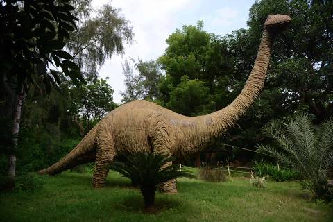 This photograph taken on August 30, 2016 shows a life-sized model of a dinosaur at the Dinosaur and Fossil Park at Indroda in Gandhinagar, some 30 kms from Ahmedabad. One of princess Aalia Sultana Babi's most prized possessions is a fossilised dinosaur egg she found an unsuspecting villager using to grind spices on her ancestral lands, an area billed as 