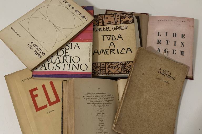 Livros de poesias de autores brasileiros destacados por Ruy Castro
