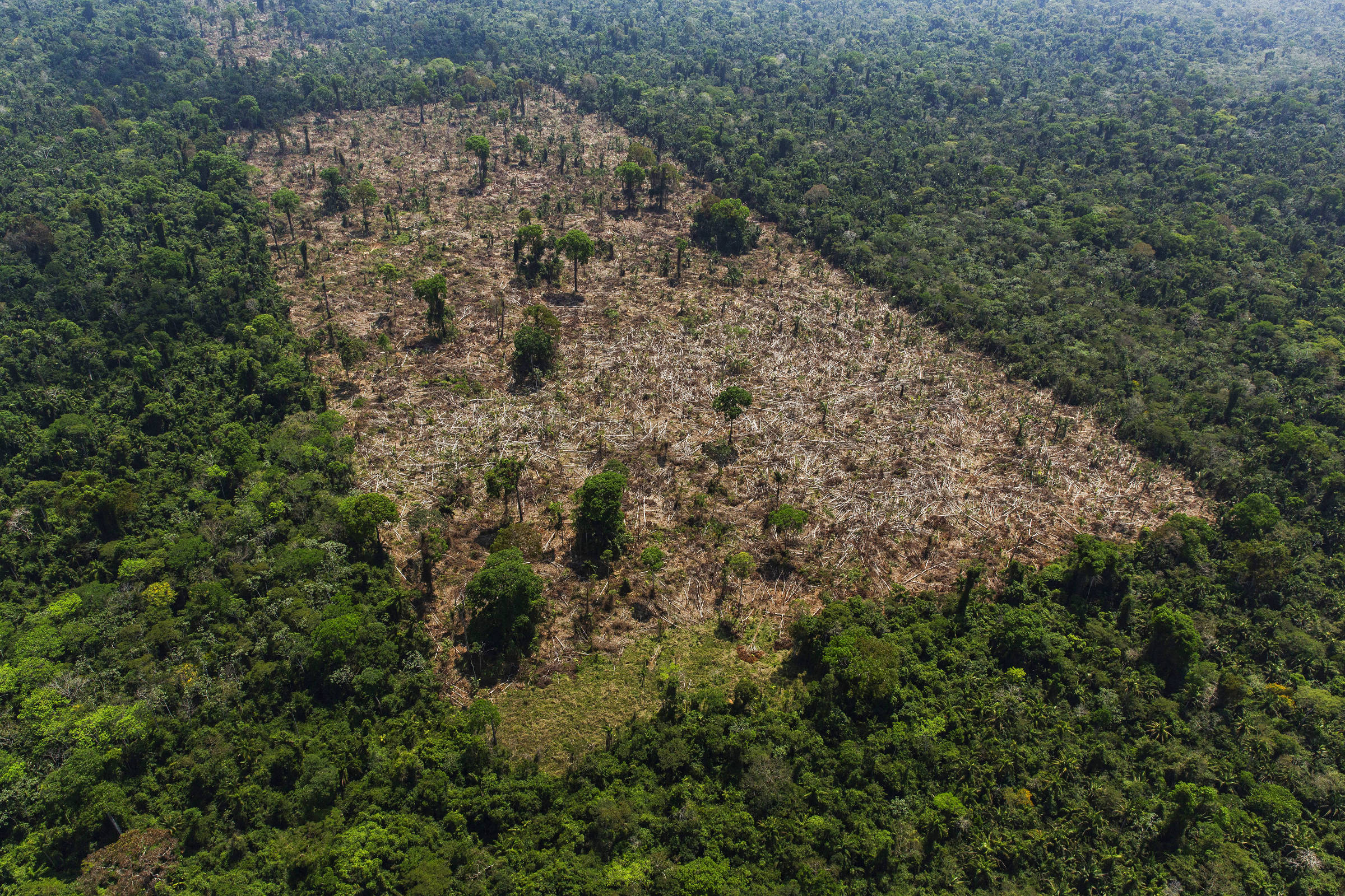 Fácil' e 'legal', desmatamento no Cerrado bate recorde e avança sem  resistência - MST