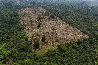 Área desmatada por grileiros dentro da Terra Indígena Trincheira Bacajá, em Altamira (PA)