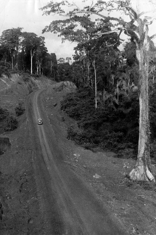 Evolução do desmatamento ao entorno da rodovia BR -230 (Transamazônica).