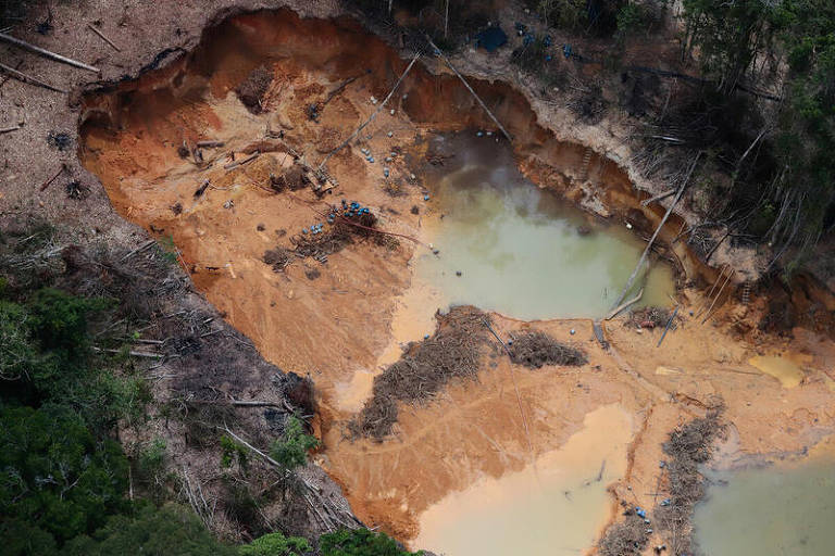 Imagens aéreas mostram garimpo ilegal na Amazônia