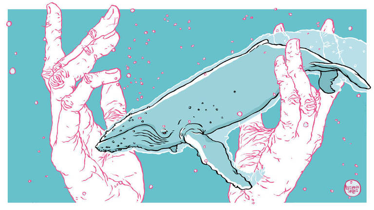 Ilustração de uma baleia-jubarte nadando entre duas mãos