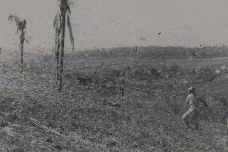 Agricultor combate infestação de gafanhotos no RS nos anos 1940 com vara de madeira