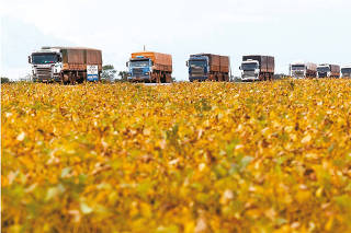 Vaivém das commodities