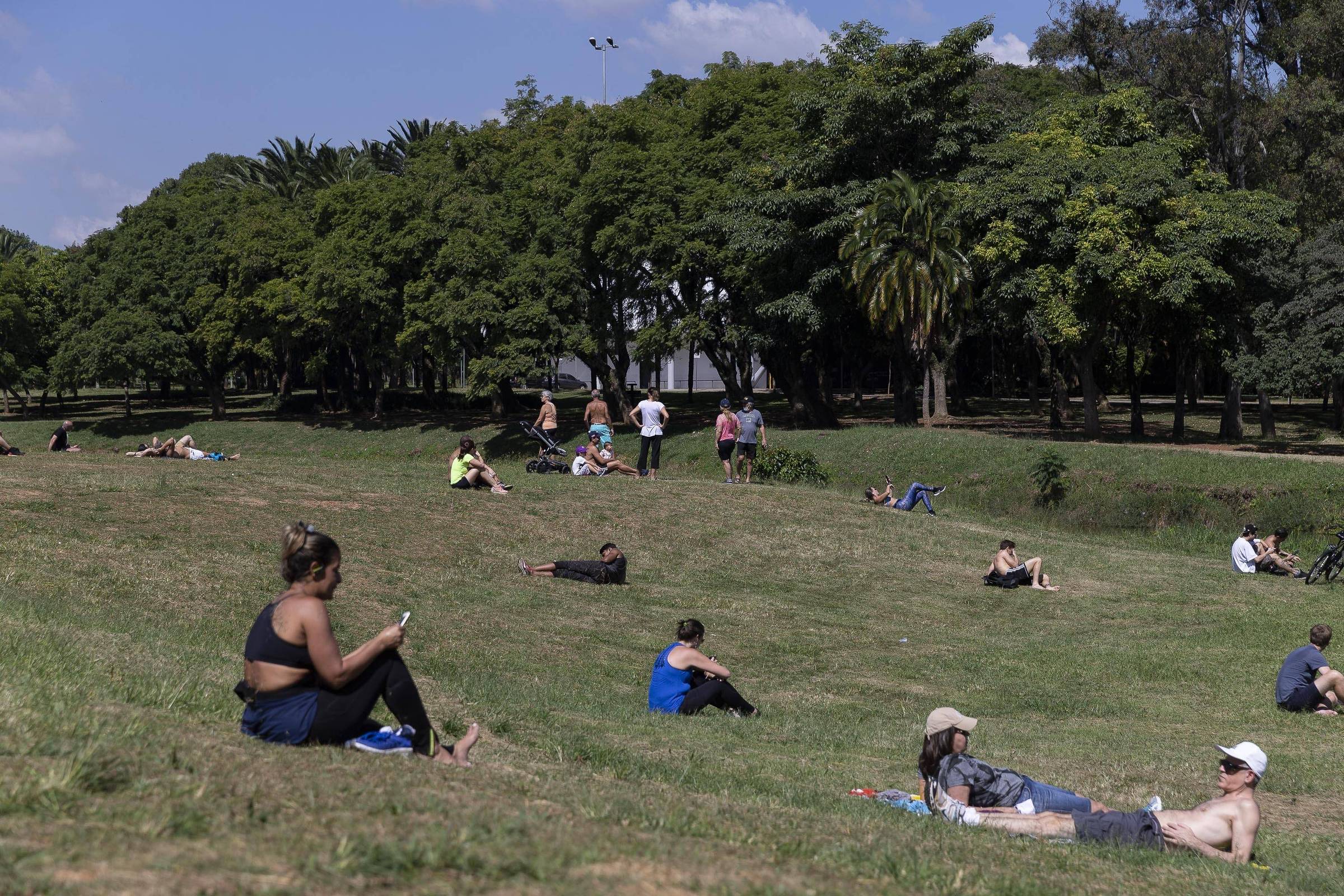 Parques Reabrem Em São Paulo A Partir De Segunda; Confira Sugestões Nas ...