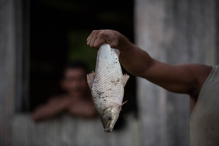 Venda de peixe na Boca do Jacaré, também em Juruá; comércio decaiu com pandemia