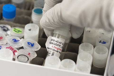 Anvisa aprova testes de vacinas da Pfizer contra o coronavírus no ...