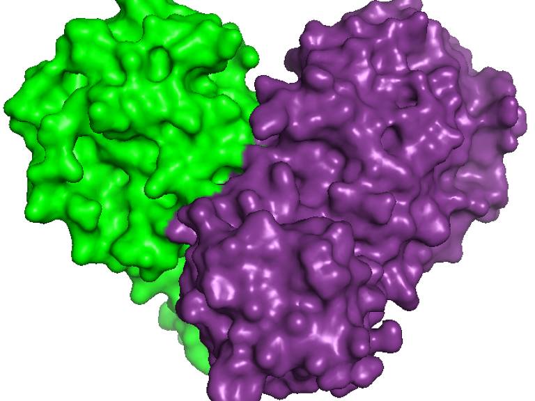 Estrutura da proteína 3CL