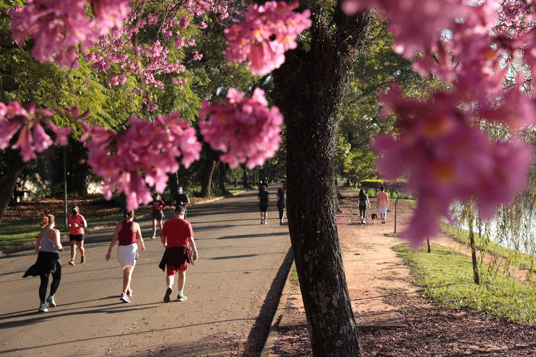 Paulistanos podem agora aproveitar dos parques para se exercitar.